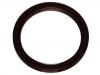 Crankshaft Oil Seal:77 00 874 223