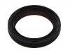 Crankshaft Oil Seal:77 01 473 494