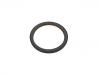 Crankshaft Oil Seal:50 10 295 831