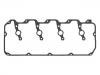 Valve Cover Gasket:97321295
