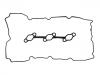 Valve Cover Gasket:22453-3C710